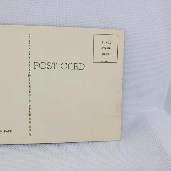 Gulf Stream Card Cockatoos At Hialeah Park Florida Miami Bird Postcard Animal - Picture 10 of 12